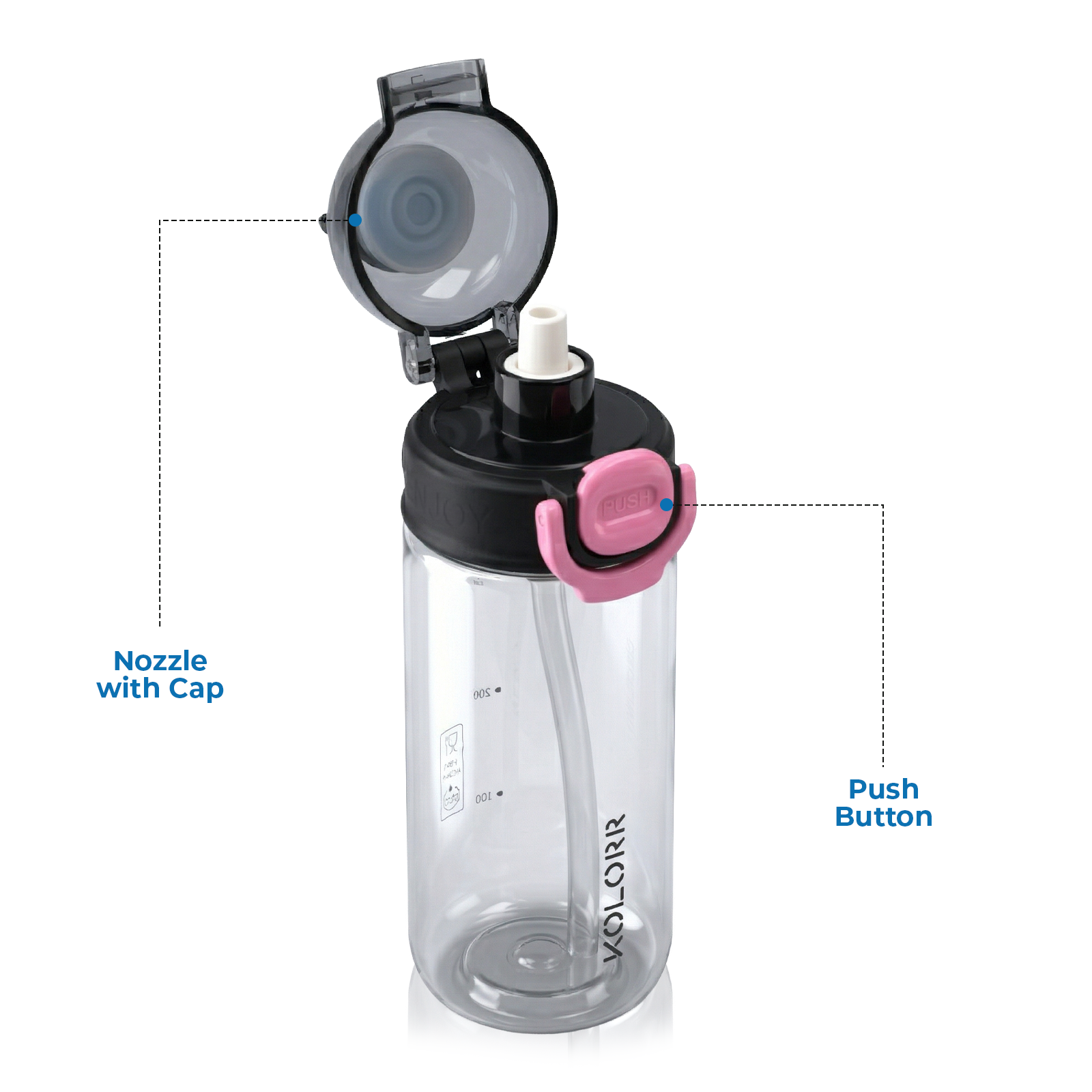 Toons Water Bottle